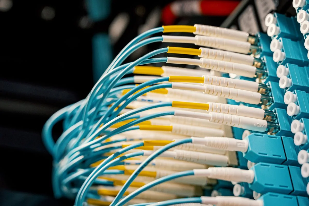 Blue fiber optic cables connected to a network patch panel